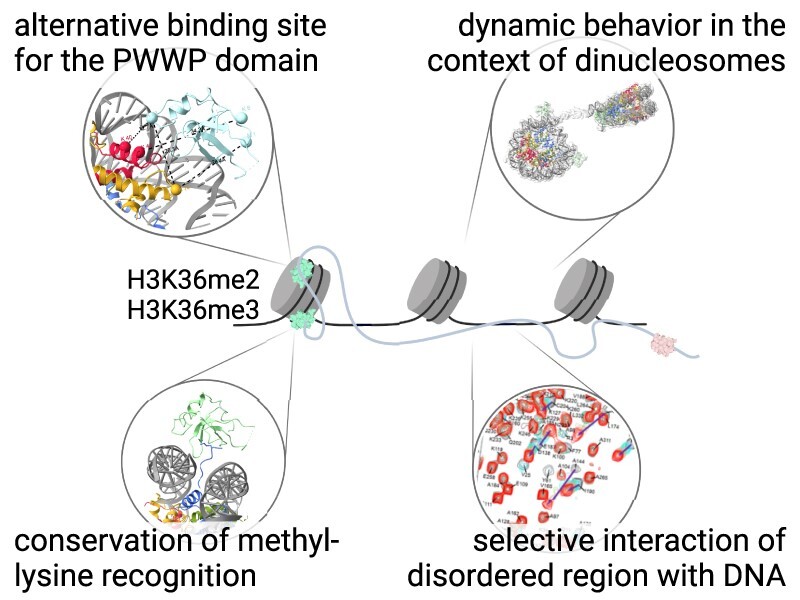 Graphical Abstract