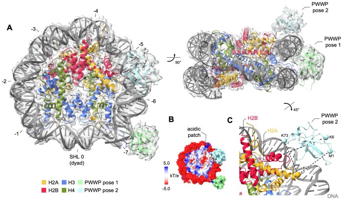 Figure 3.