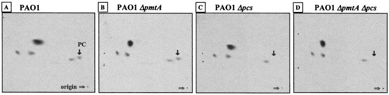 FIG. 6.