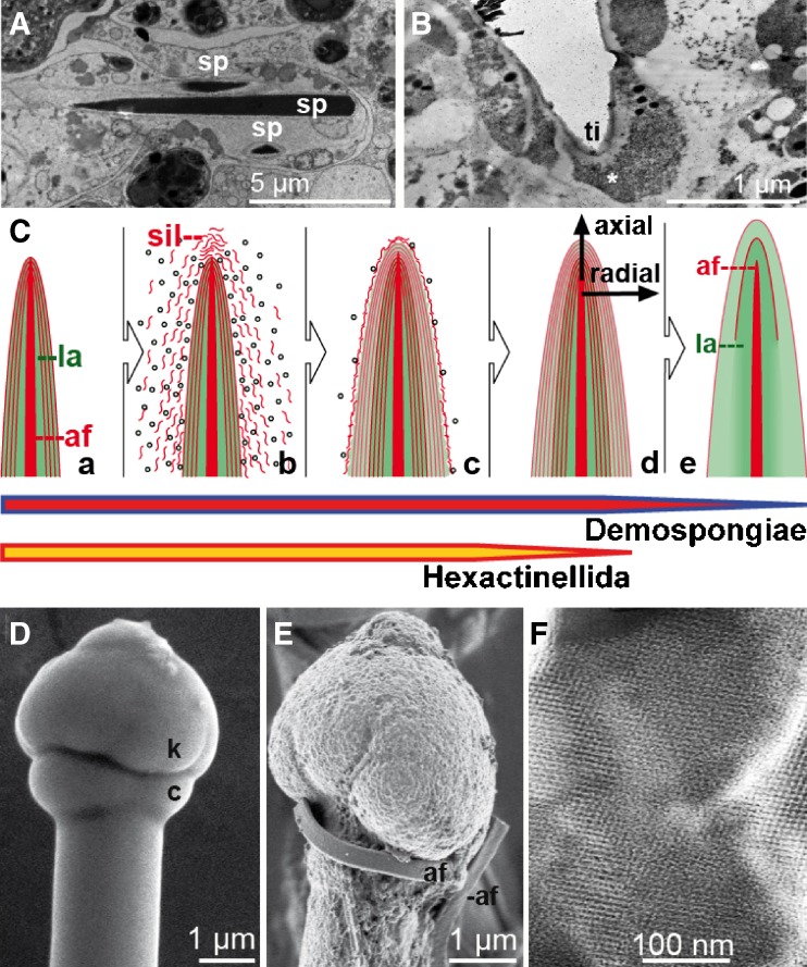 Fig. 4