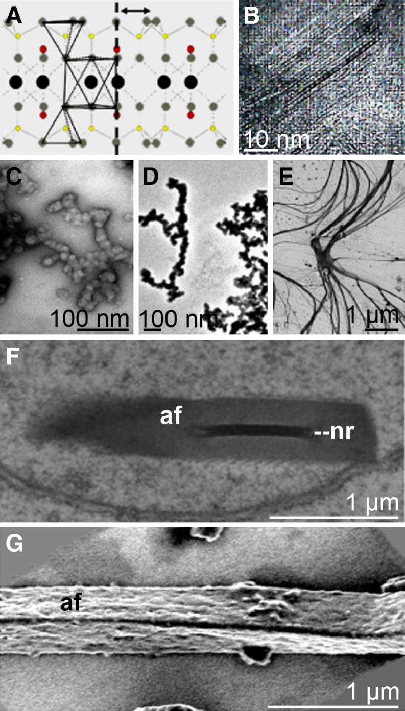 Fig. 6