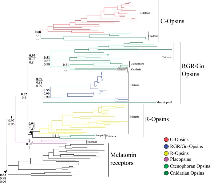 Fig. 2.—