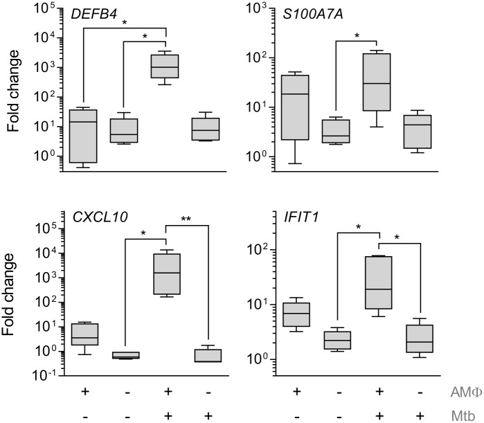 Fig 4