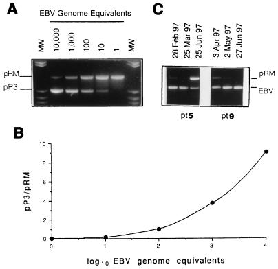 FIG. 1