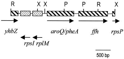 FIG. 1