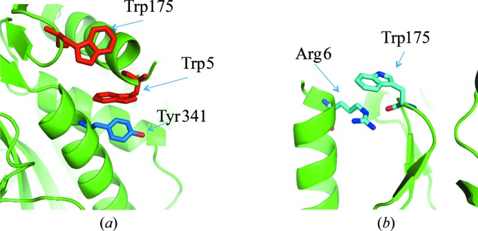 Figure 6