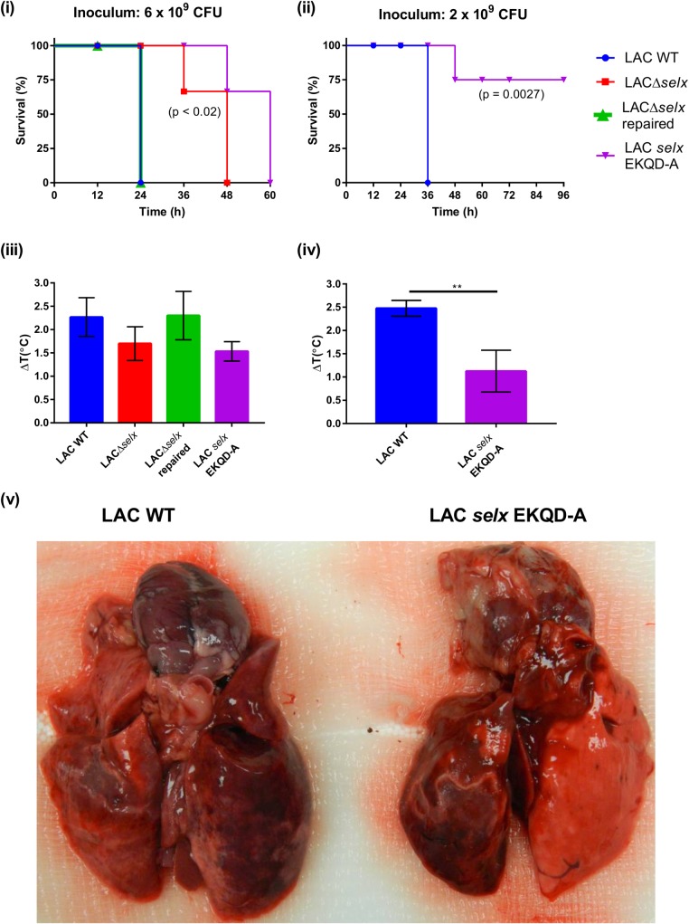 Fig 8