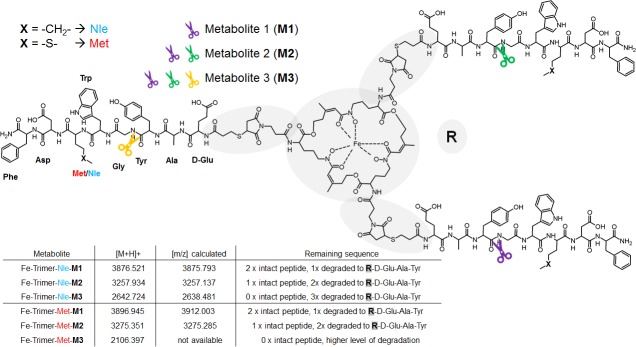 Fig 10