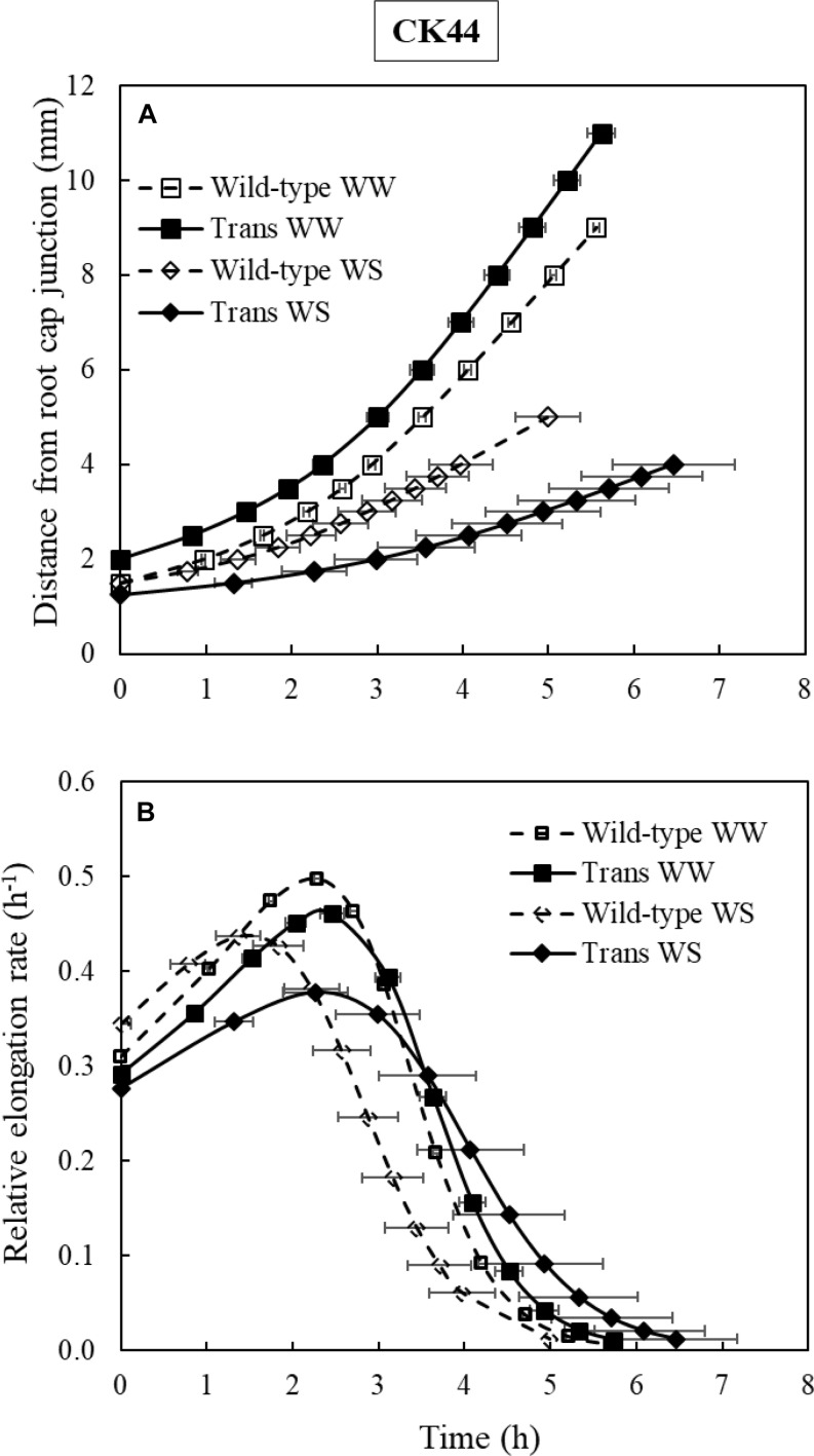 FIGURE 6