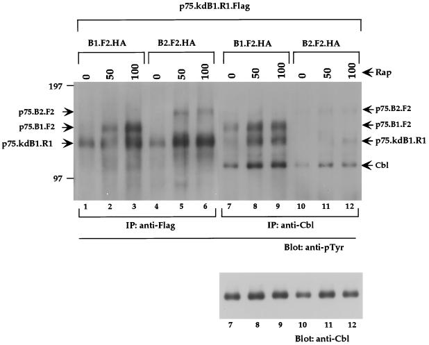 FIG. 10