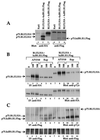 FIG. 9