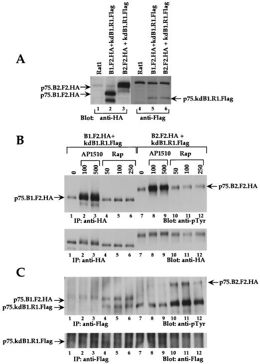 FIG. 9