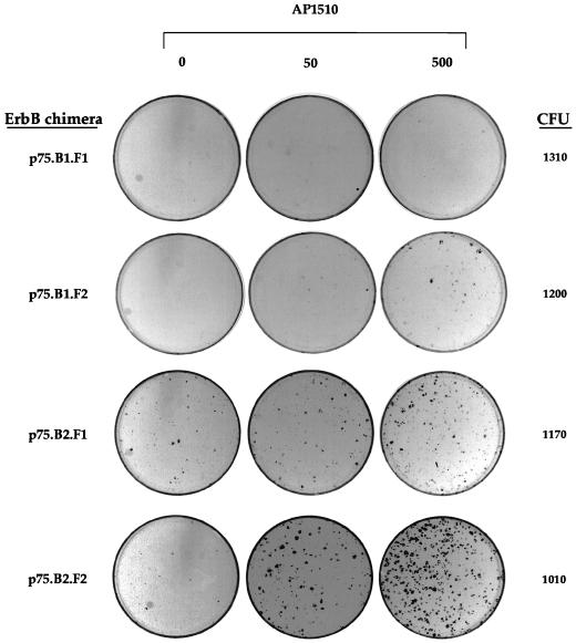 FIG. 7