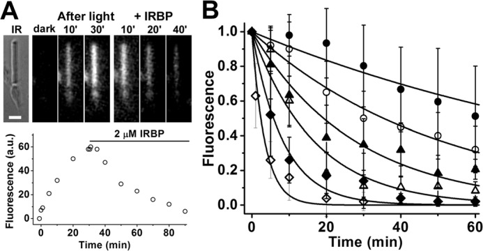 Figure 2.