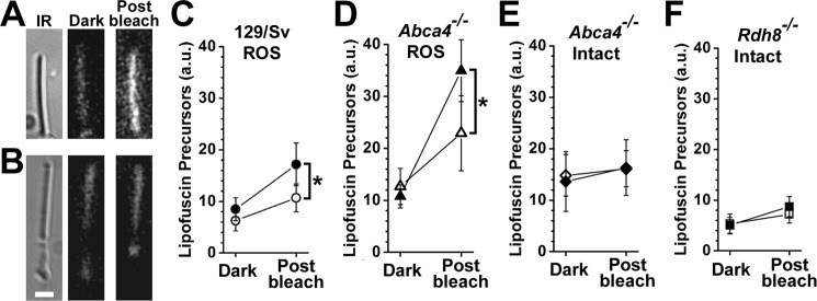 Figure 10.