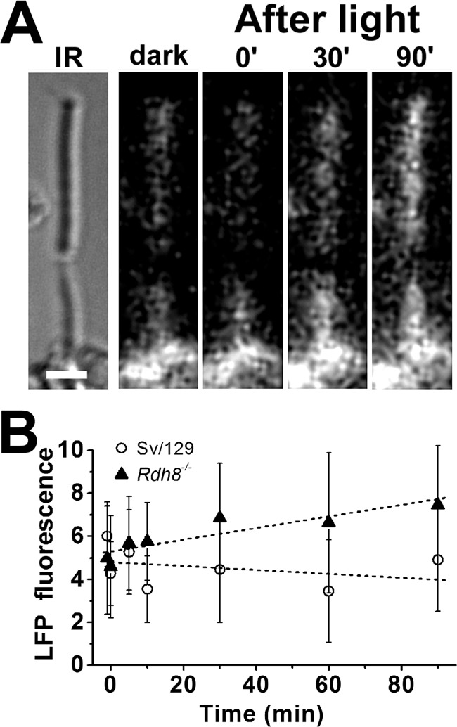 Figure 9.