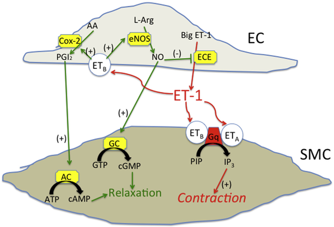 Fig. 4.