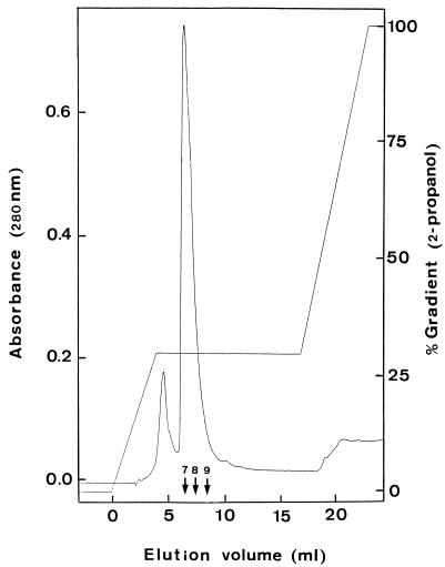 FIG. 1