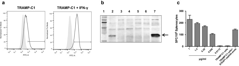 Fig. 6