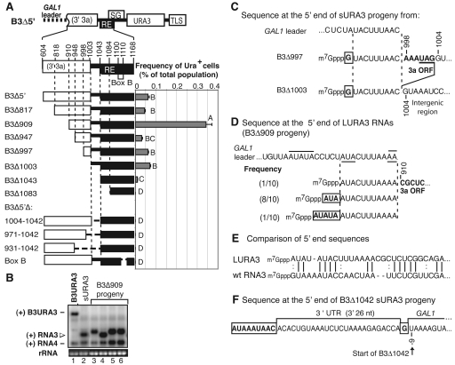 FIG. 6.