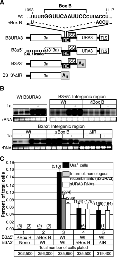 FIG. 7.