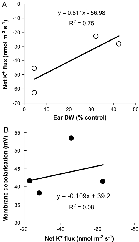 Fig. 8.