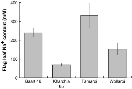 Fig. 4.