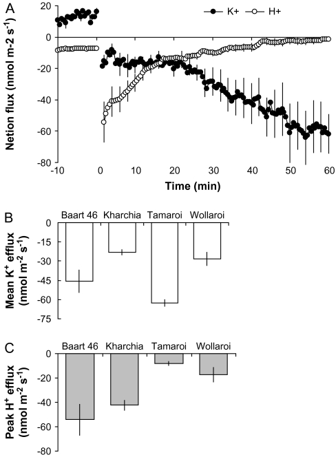 Fig. 7.