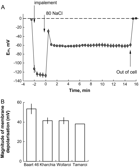 Fig. 9.