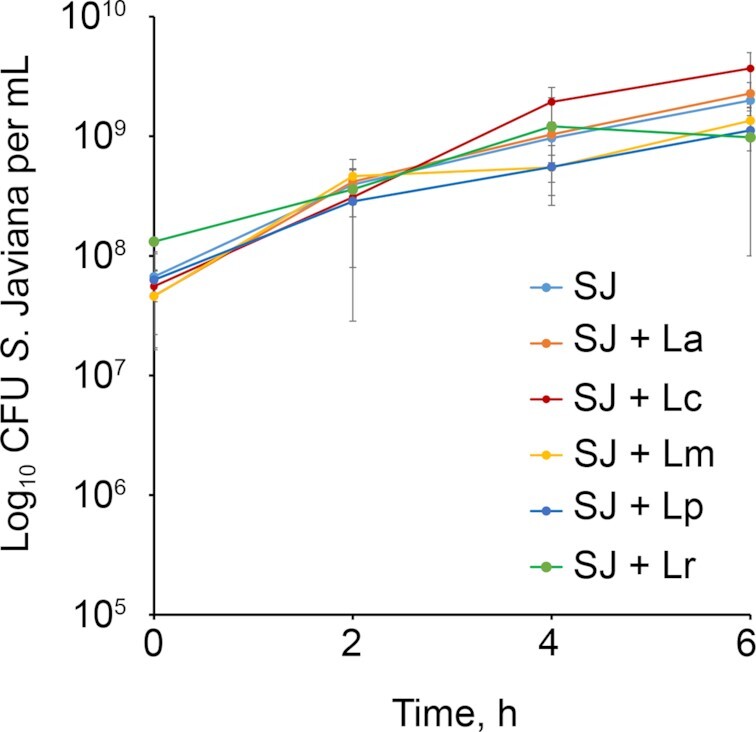 Figure 4.