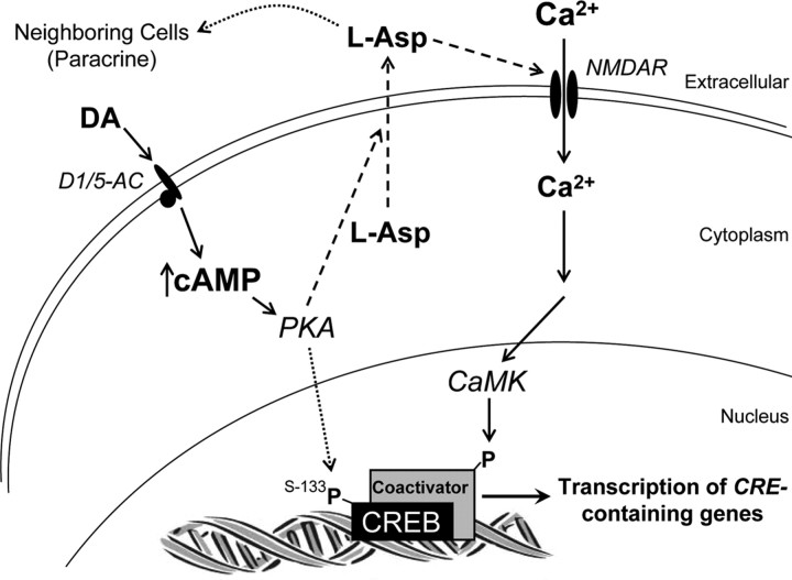 Figure 10.