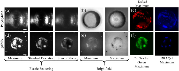 Fig. 4