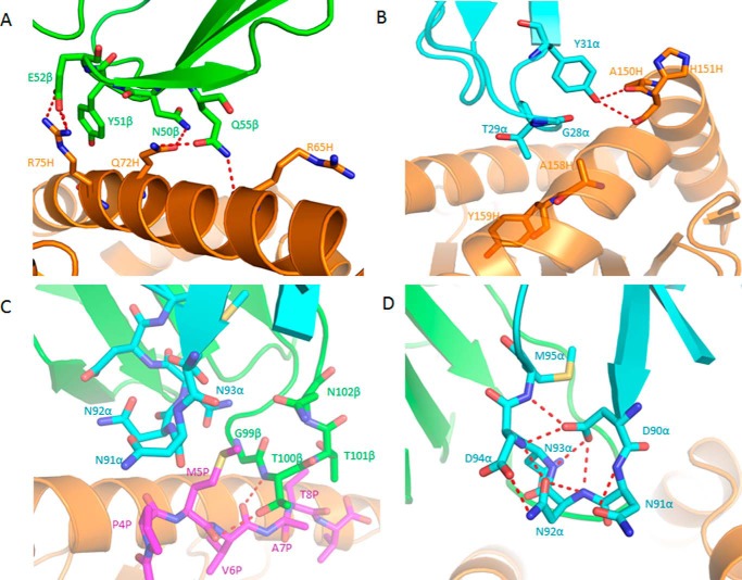 FIGURE 4.