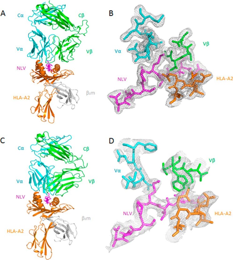 FIGURE 2.