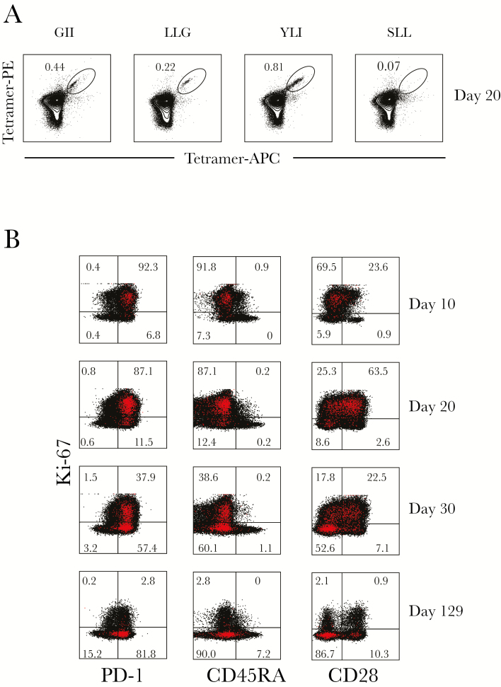 Figure 4.