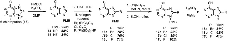 Scheme 1