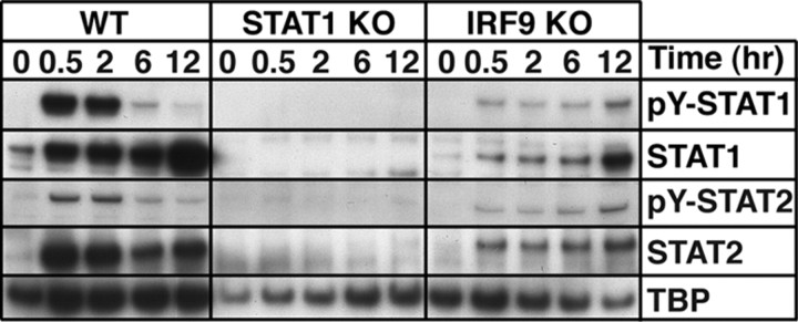 Figure 6.