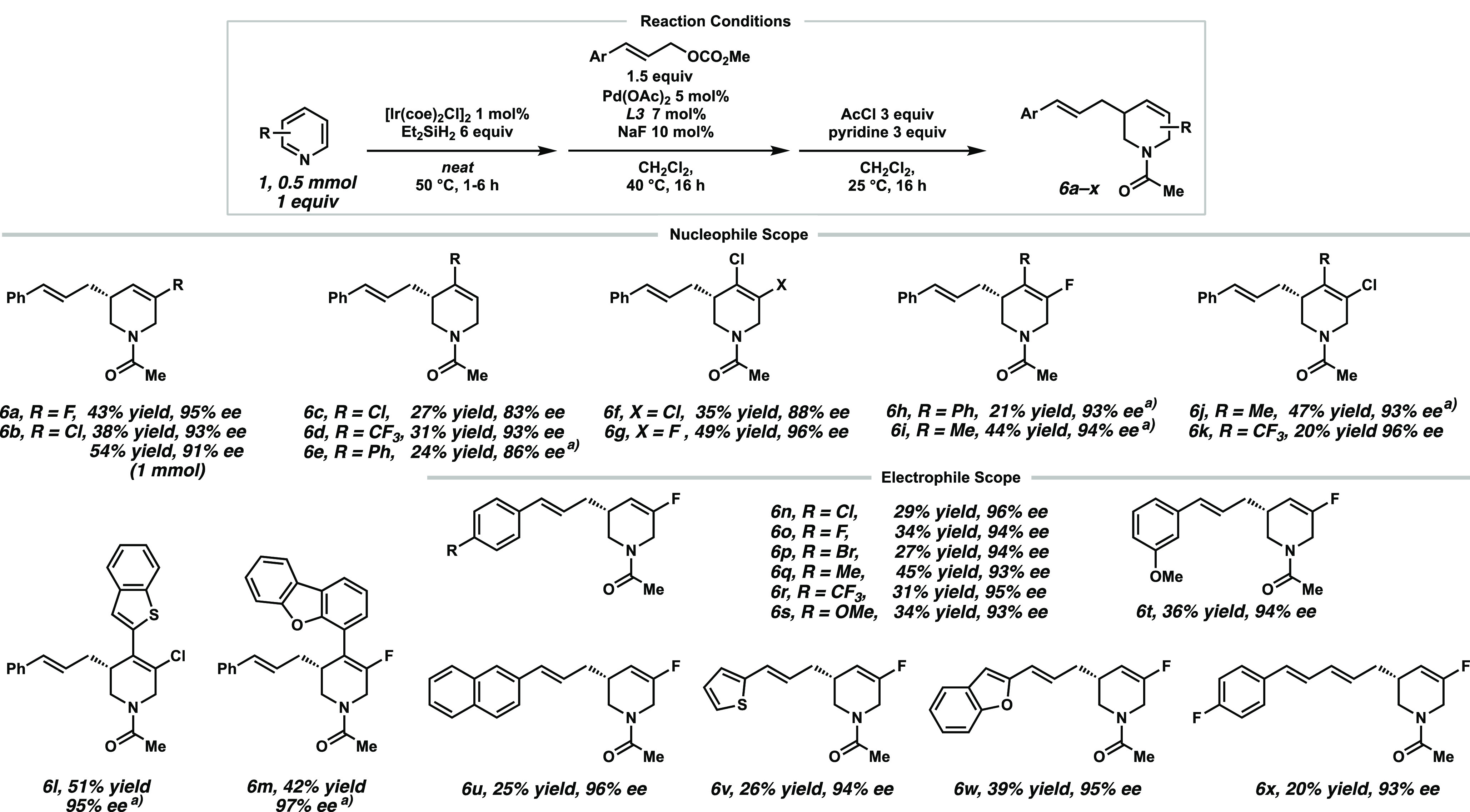 Scheme 3