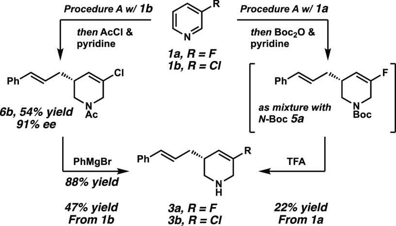 Scheme 5