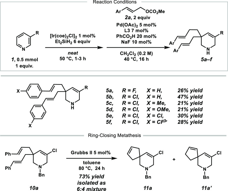 Scheme 7