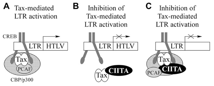 FIGURE 3