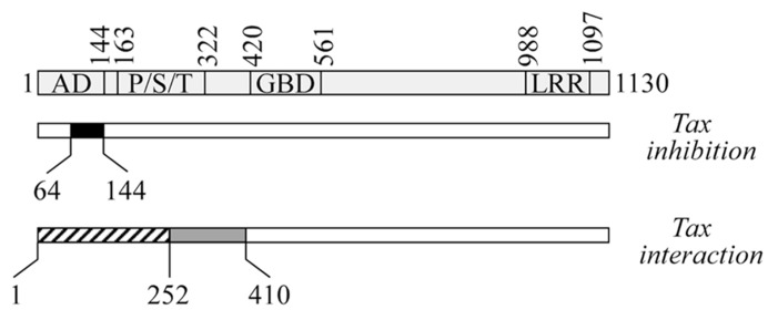 FIGURE 2