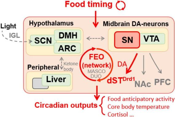 FIGURE 1