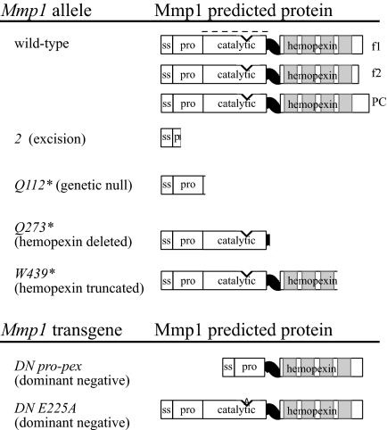 Fig. 1.