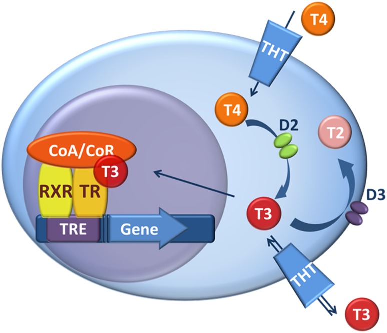 Figure 6.