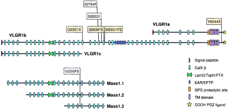 Figure  2