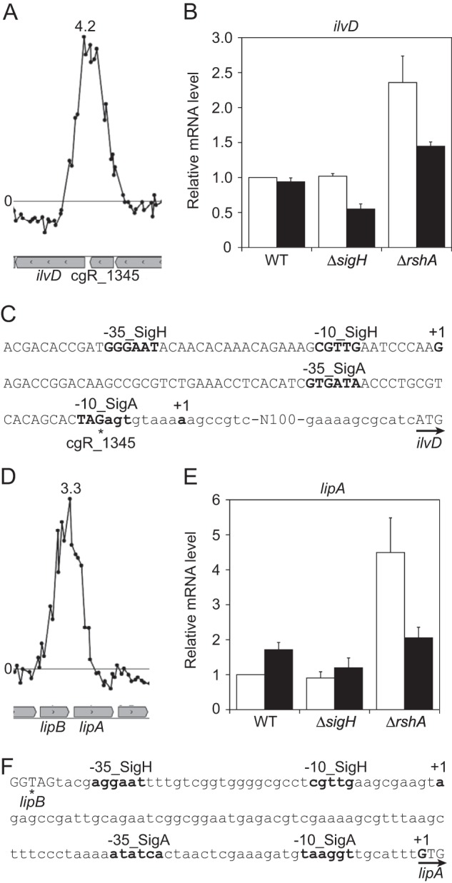 FIG 1