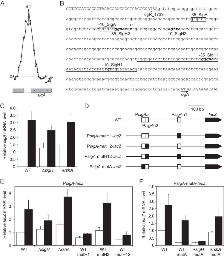 FIG 6