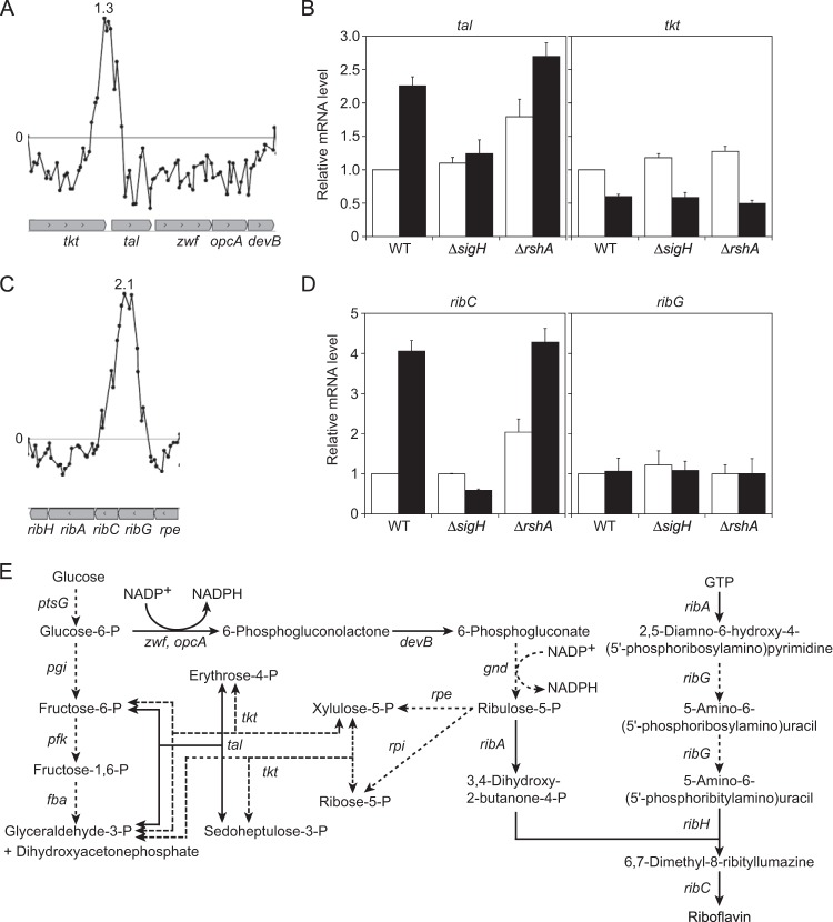 FIG 2