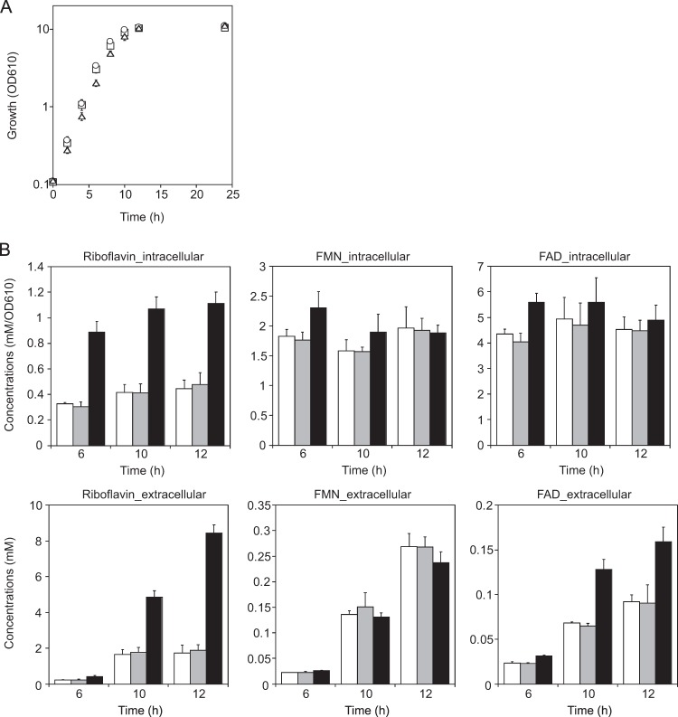 FIG 3